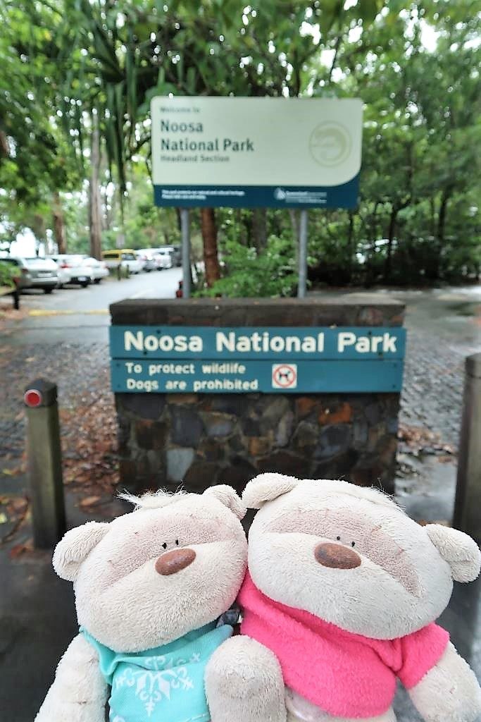 Entrance of Noosa National Park