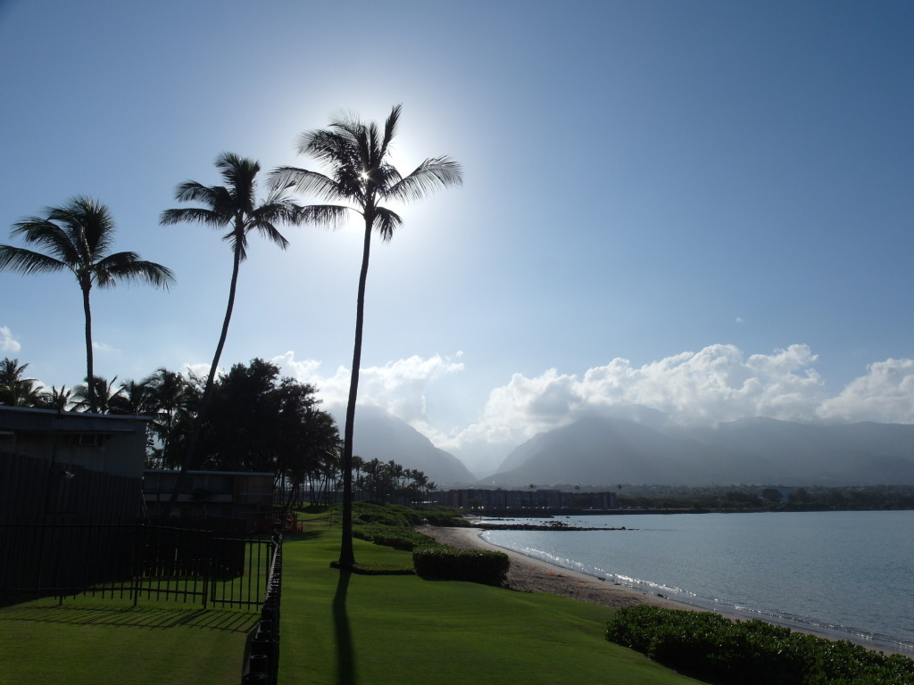 Beautiful Lawn of Maui Seaside Hotel