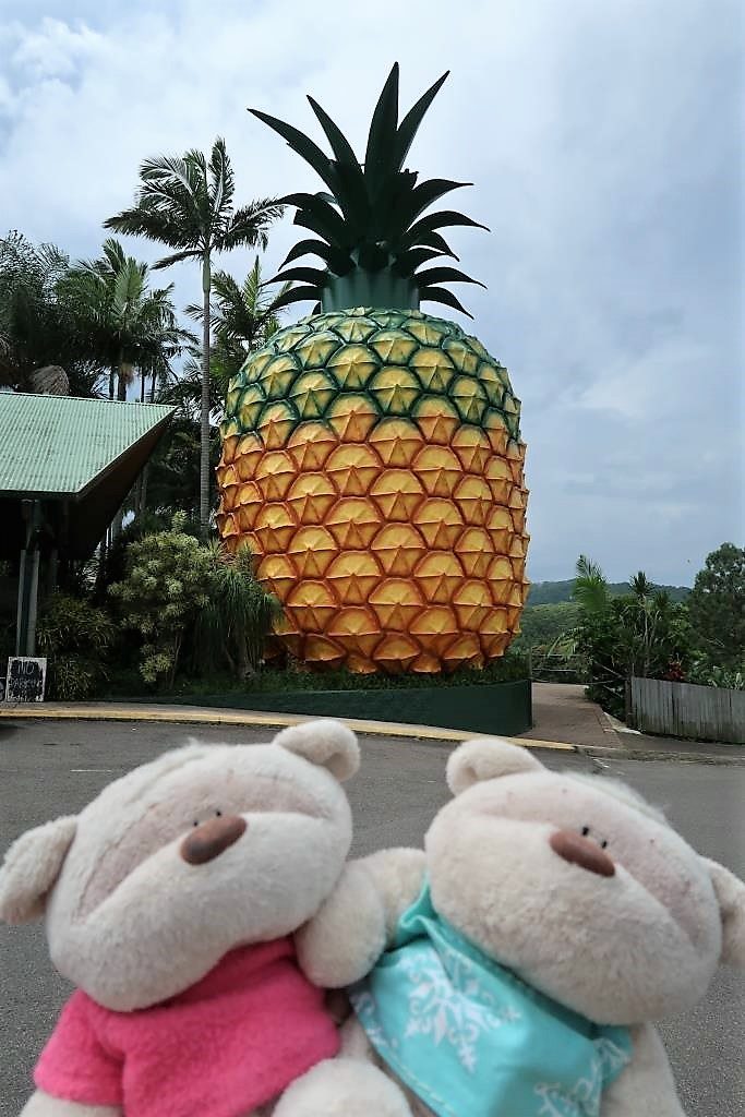 The Big Pineapple Woombye