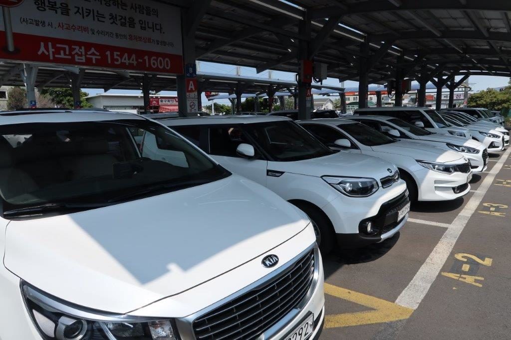 Somehow rental cars are white in South Korea - Read on to find out more about driving in South Korea!