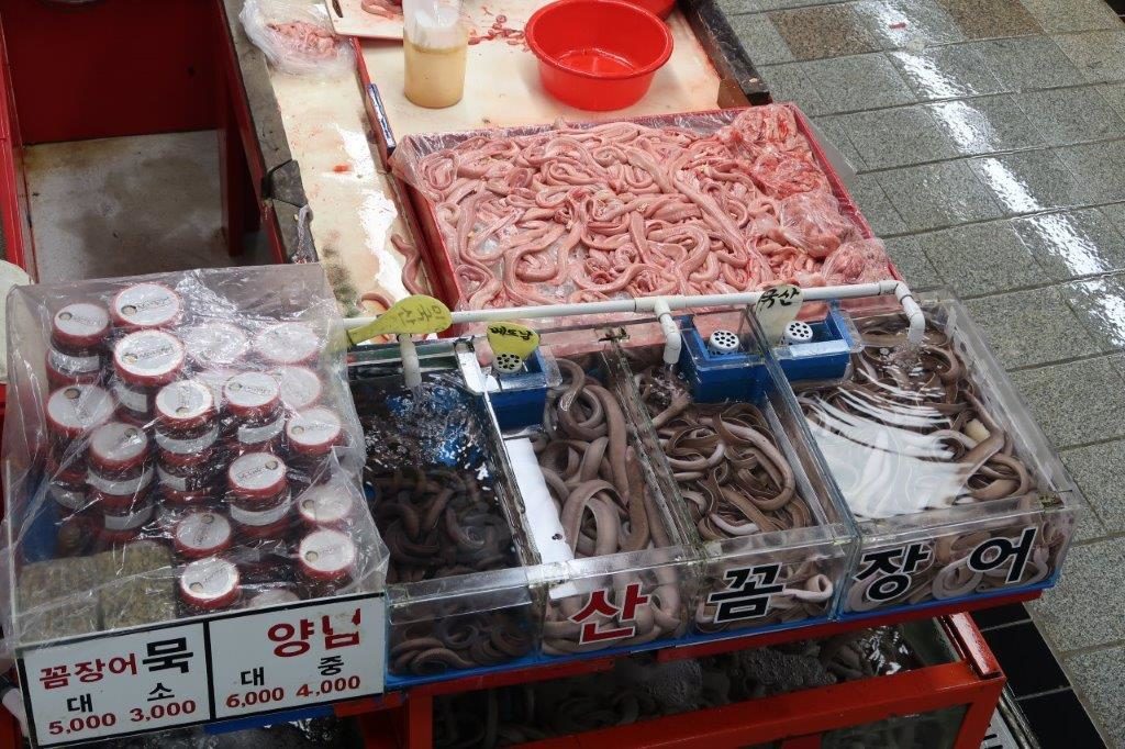 Live skinning of eels at Jagalchi Fish Market! :O
