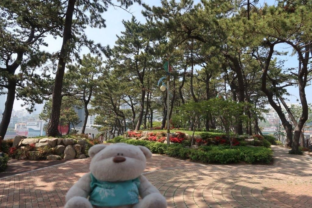 Pine Tree Garden next to Busan Air Cruise