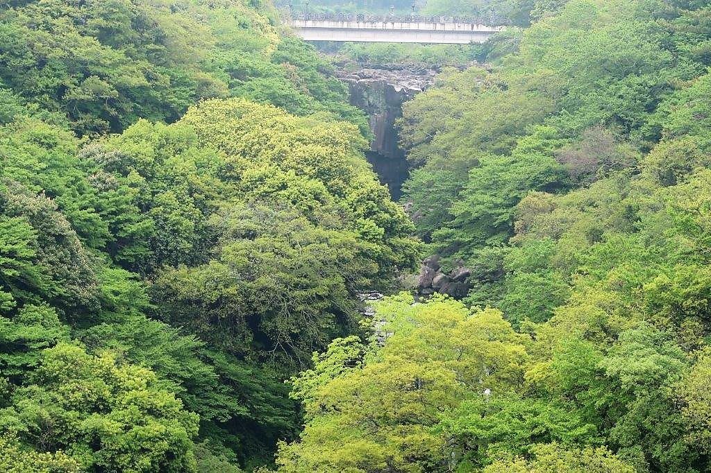 View of 1st tier Cheonjeyeon Falls Jeju
