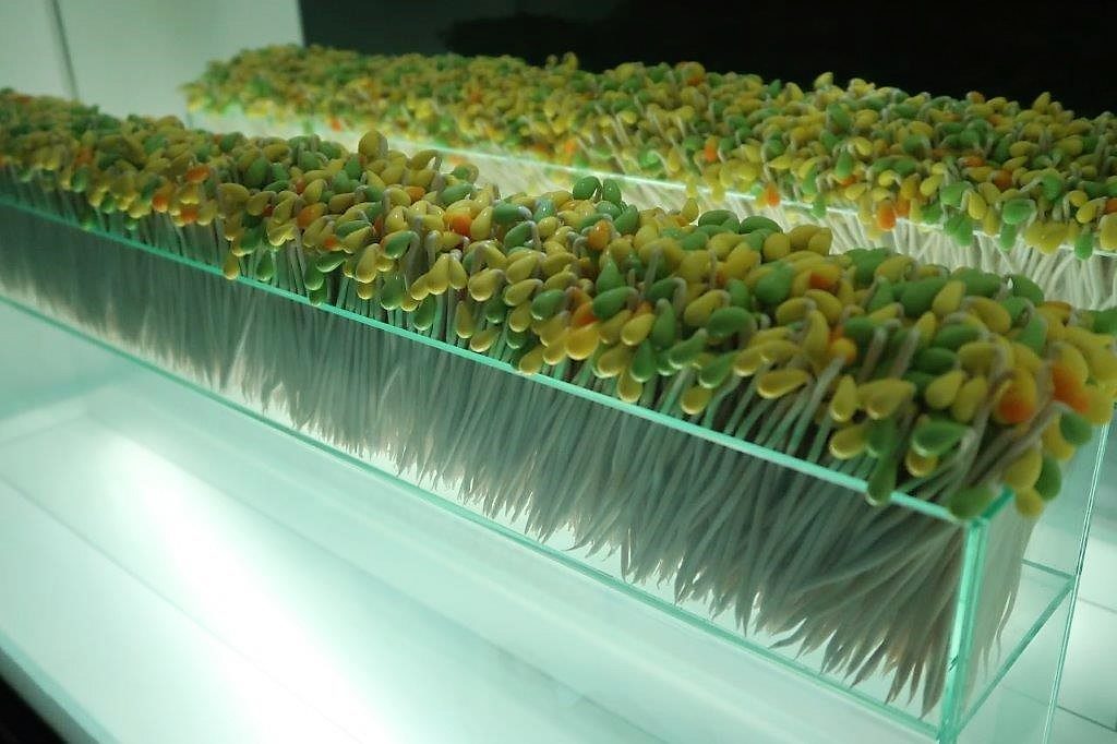 Glass plants @ Jeju Glass World