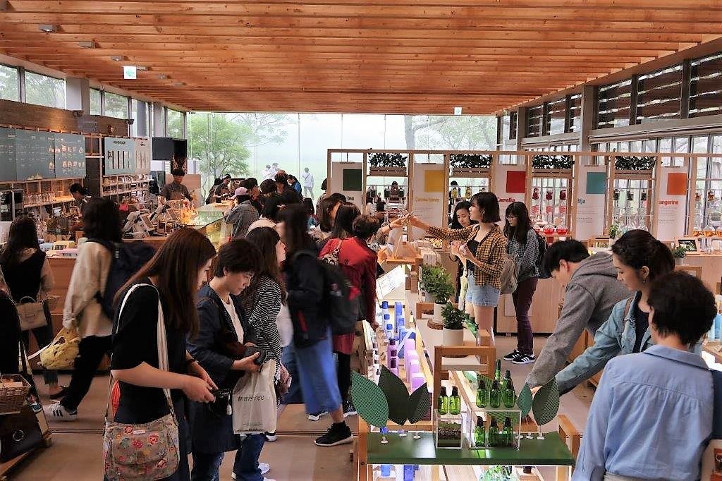 Cosmetics shopping inside Innisfree Jeju House