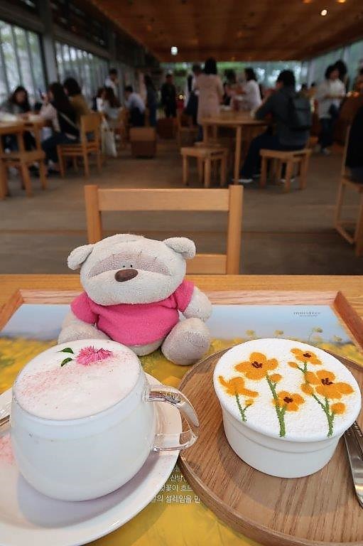 Raspberry white latte (6,000krw) and Canola Flower Tangerine Tiramisu (6,500krw) at Innisfree Jeju House