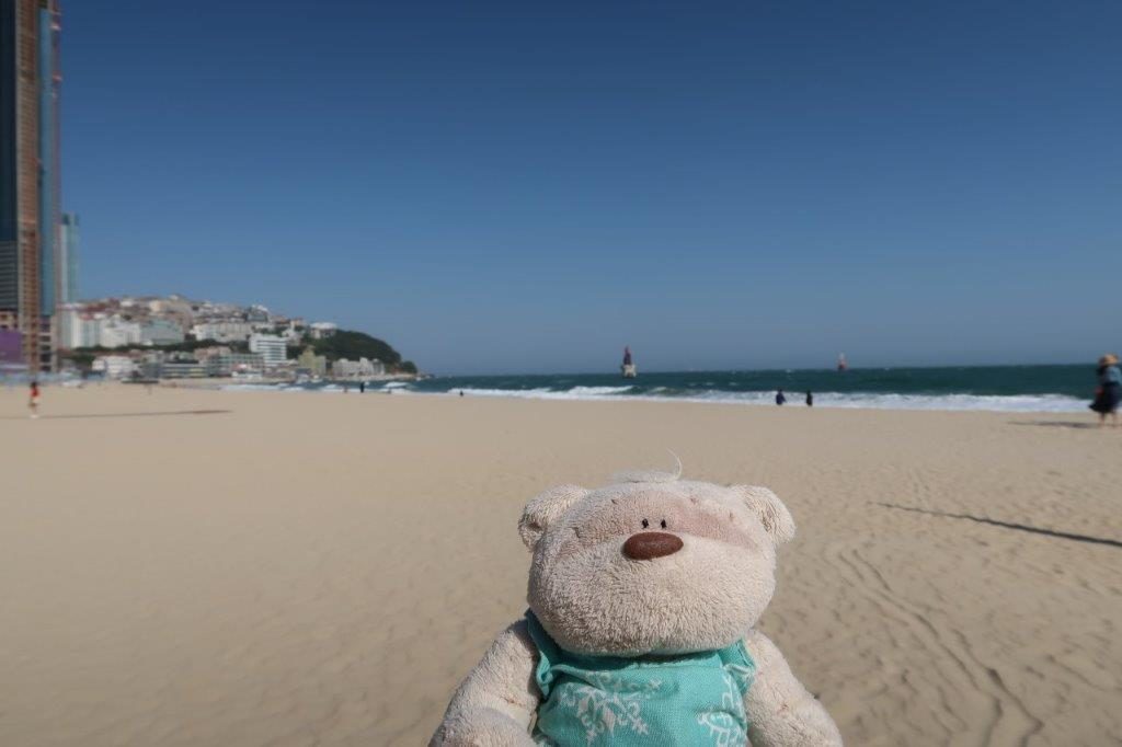 2bearbear @ Haeundae Beach Busan