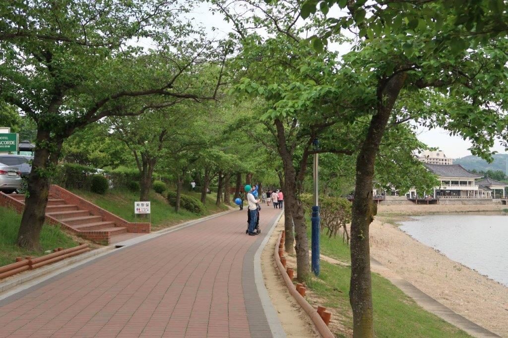 Walking along Bomunho Lake Gyeongju