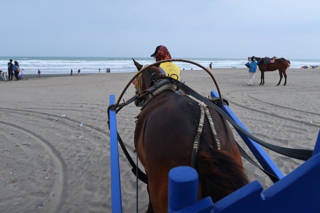 Our "rider" of horse drawn cart at Parangtritis Beach