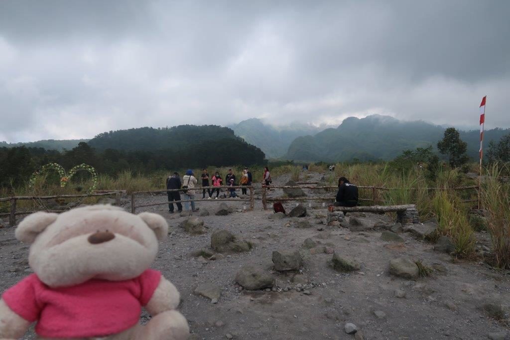 2bearbear with Mount Merapi in the background