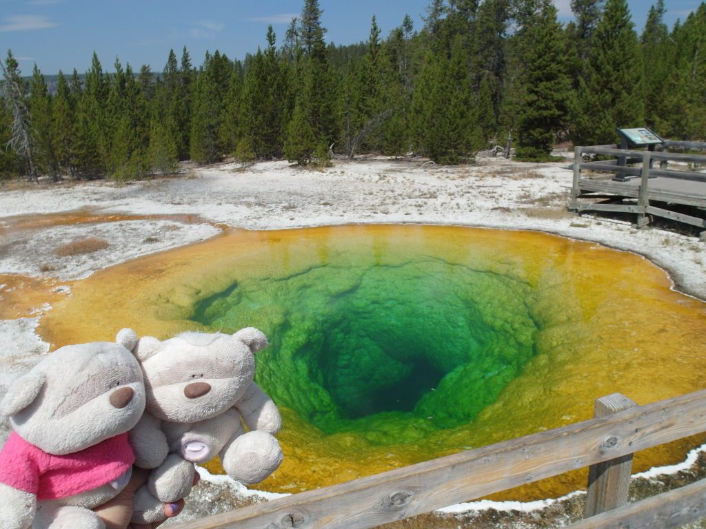 Yellowstone National Park Morning Glory Pool