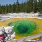 Yellowstone National Park Morning Glory Pool