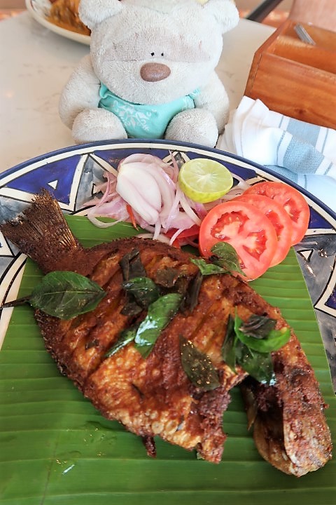 Kerala-styled Karimeen Fry @ Malabar Cafe Grand Hyatt Kochi