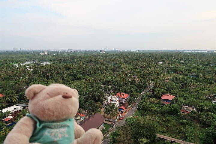 View of Kerala Coconut Forest from Vypin Lighthouse