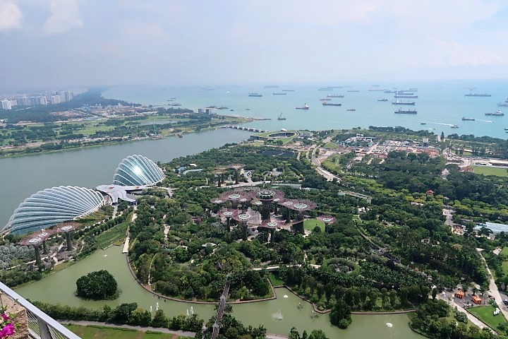 View of Gardens by the Bay from Top of Marina Bay Sands