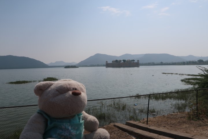 2bearbear @ Jal Mahal Lake Palace Jaipur