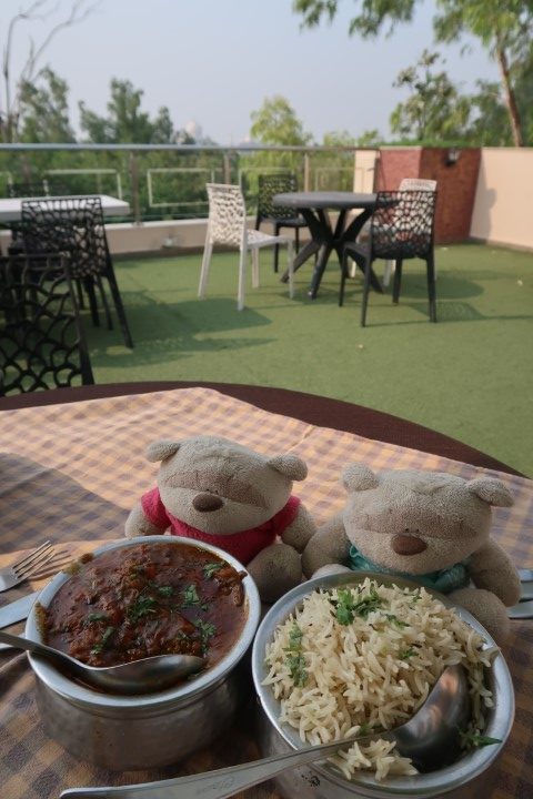 Mutton curry with jeera rice, coke and stir fried chicken for 1150 rupees at Hotel Atulyaa Taj Rooftop Restaurant