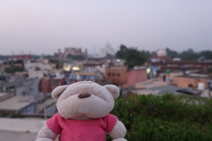 2bearbear enjoying view of Taj Mahal Agra from Hotel Saniya Rooftop Bar and Restaurant