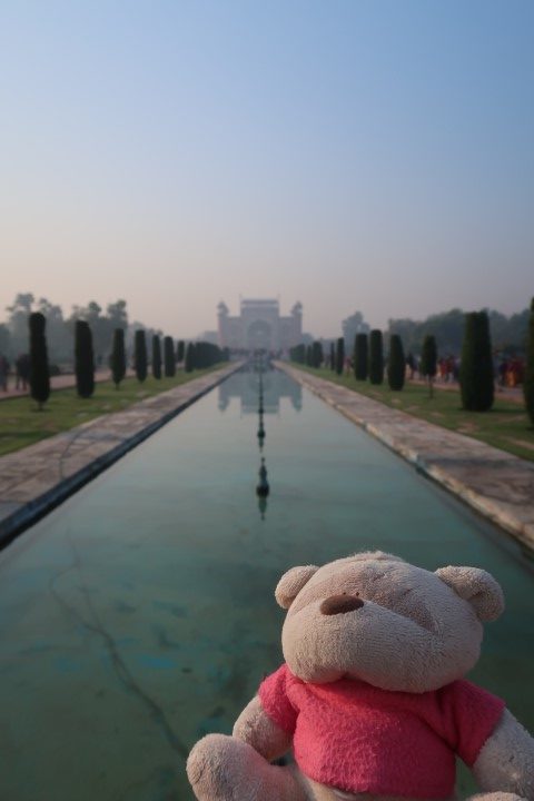2bearbear and entrance of Taj Mahal