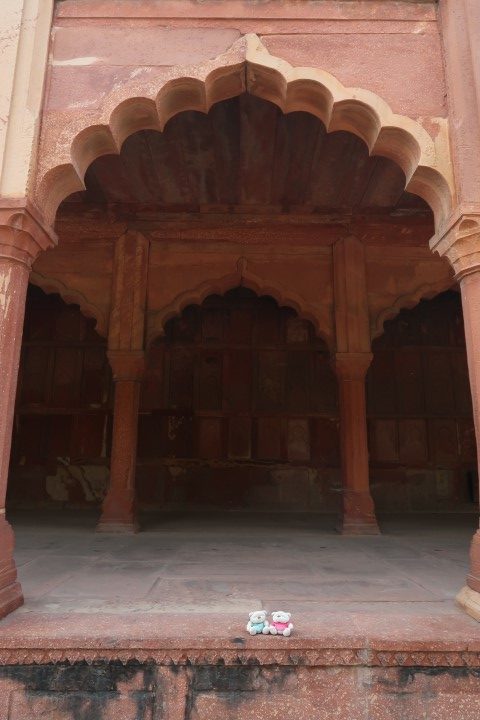 Frame shot of 2bearbear inside Taj Mahal Complex