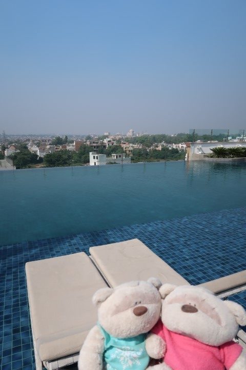 2bearbear chilling at infinity pool deck of Radisson Blu Agra Taj Hotel