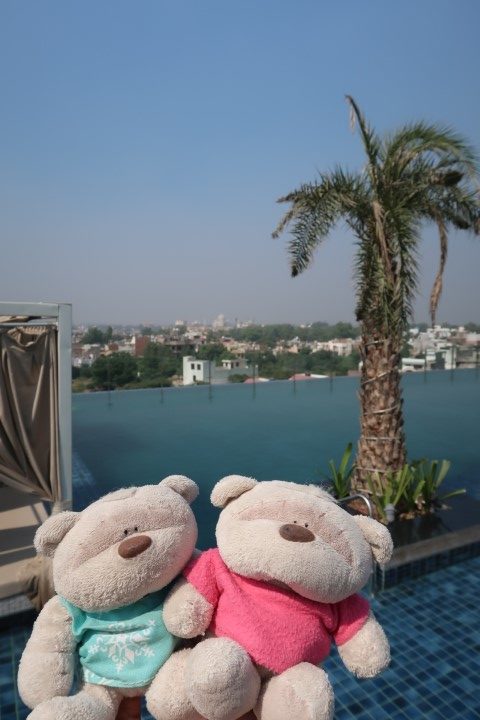 Another shot of 2bearbear at infinity pool of Hotel Radisson Blu Agra Taj East Gate