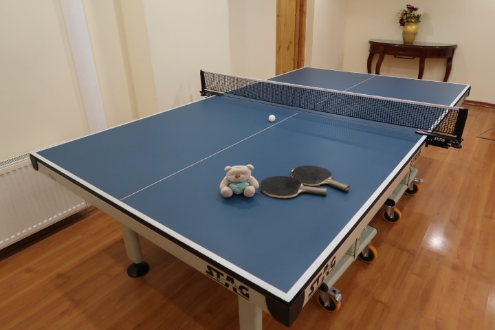 A game of table tennis?