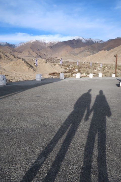 2bearbear shadows at Shanti Stupa