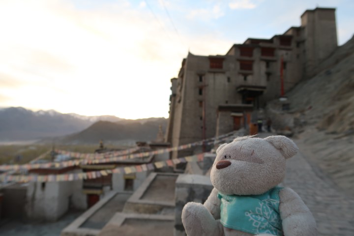 2bearbear at Leh Palace - Things to do in Ladakh