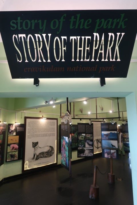 Exhibit of Eravikulam National Park called Story of the Park