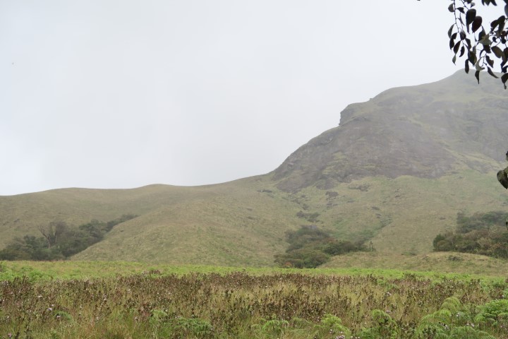 Scenic mountain views of Eravikulam National Park
