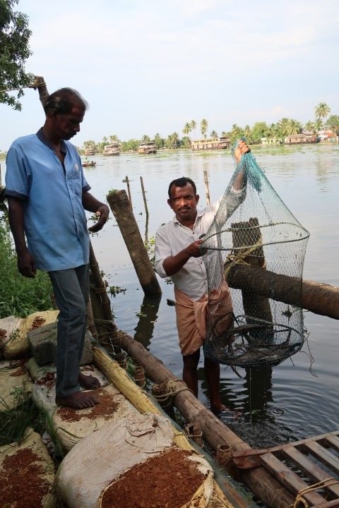 Fresh catch of the day along Kerala backwaters