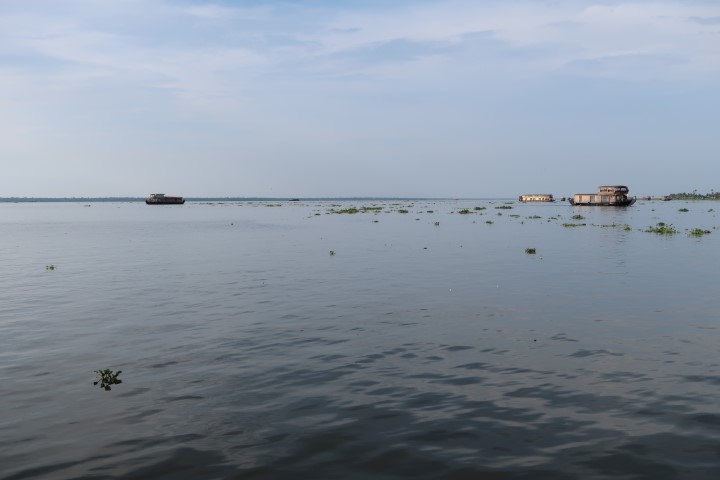 Beautiful views during Kerala backwaters cruise