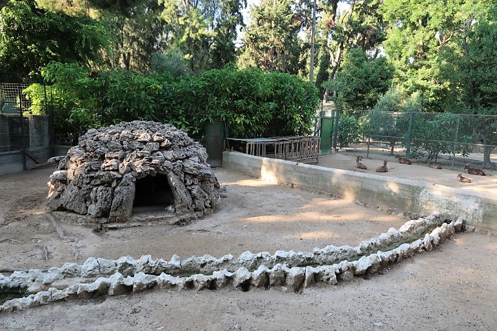 Zoo within National Garden Athens (Free Admission)
