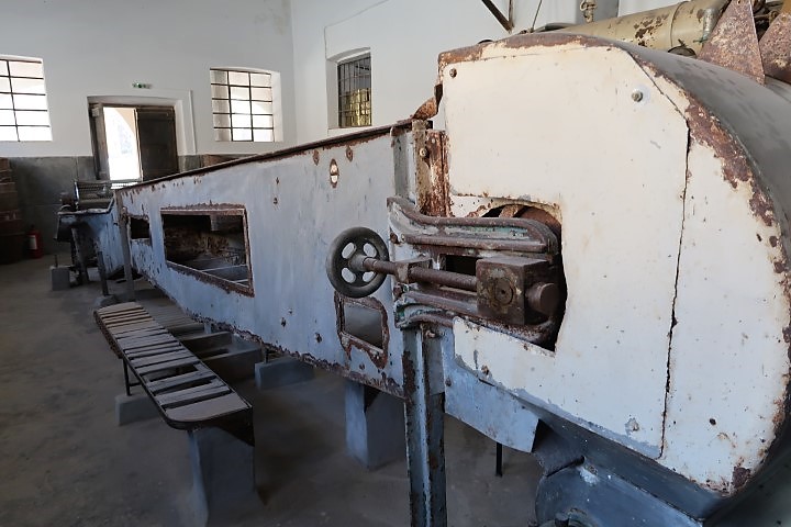 Conveyor inside Tomato Canning Factory
