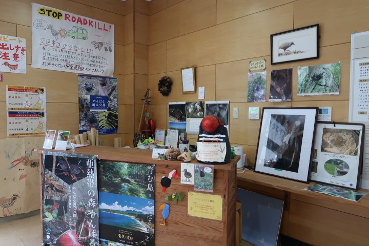 Inside Okinawa Rail Ecology Center 