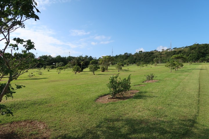 Views at Okinawa Rail Ecological Center's Putt Golf Course