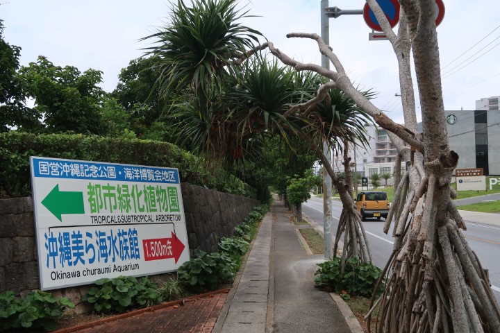 South Entrance of Okinawa Ocean Expo Park to Tropical & Subtropical Arboretum