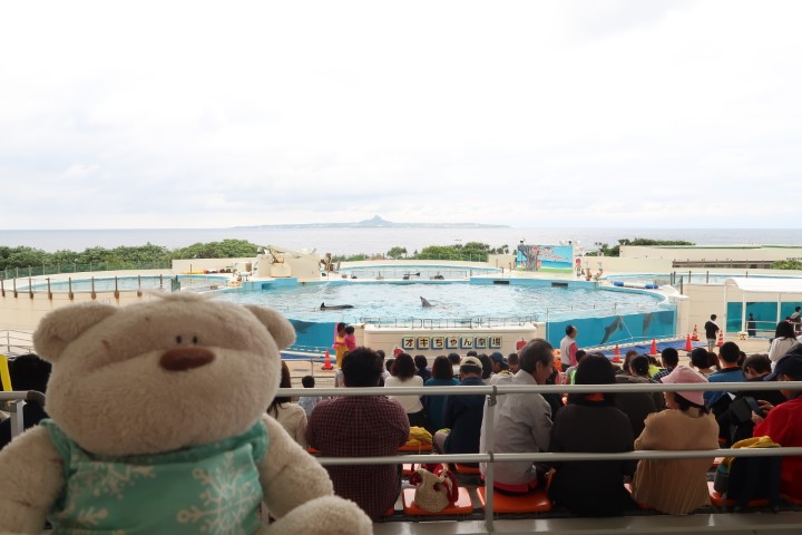 2bearbear at Okichan Dolphin Theater (Ocean Expo Park Okinawa)