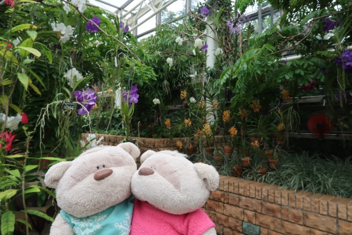 Inside Conservatory at Tropical Dream Center Okinawa