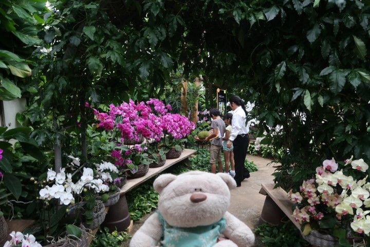 Inside Conservatory at Tropical Dream Center Okinawa