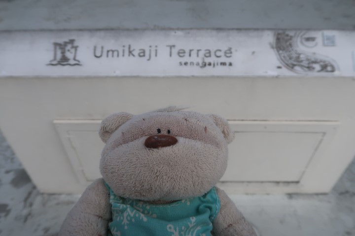 2bearbear at Umikaji Terrace Senagajima 