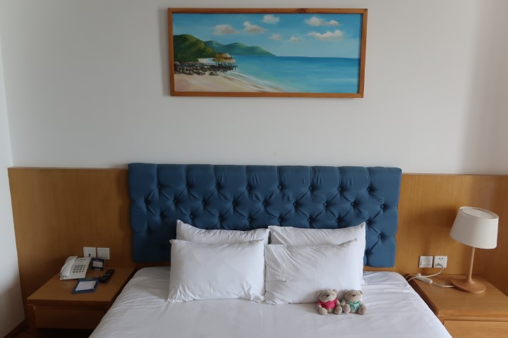 Seashore Hotel Apartment Da Nang Room