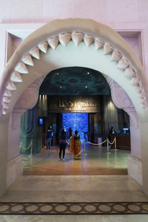 The Lost Chambers Aquarium Atlantis Dubai