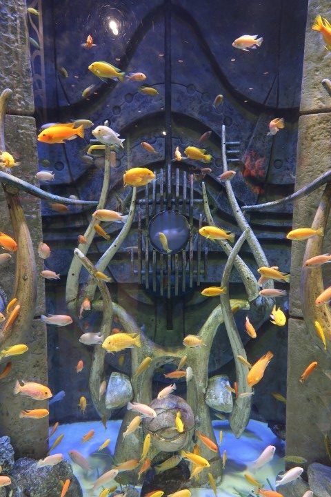 The Lost Chamber Aquarium Atlantis Dubai: Aquarium