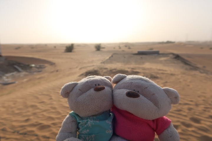 2bearbear at Dubai Desert Tour