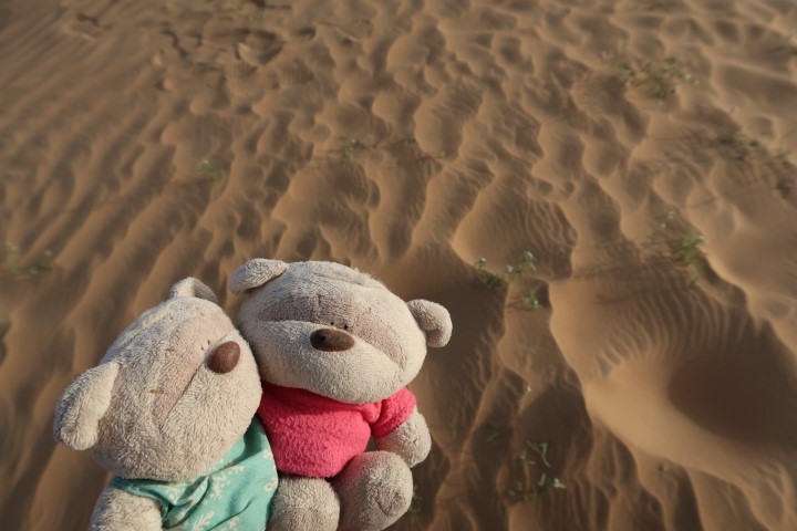 2bearbear in Dubai Desert