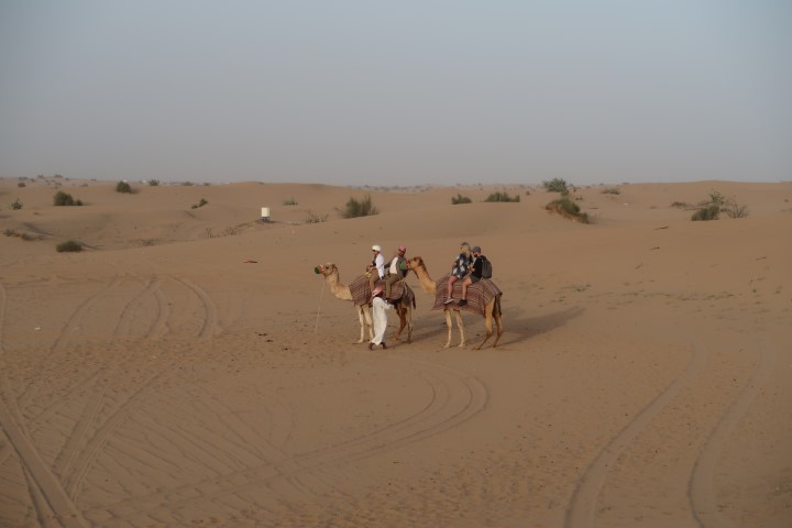 Camel ride included in Dubai Desert Tour (Camels wore masks!)