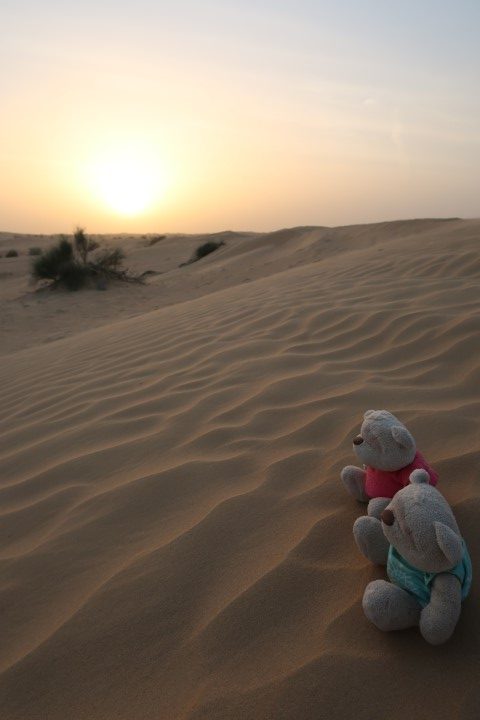 2bearbear enjoying views of sunset in Dubai desert