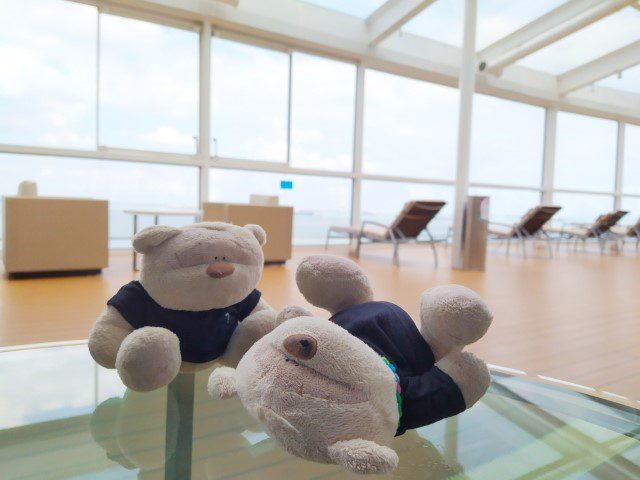 Almost drunk bears after boarding for our cruise to nowhere with Quantum of the Seas